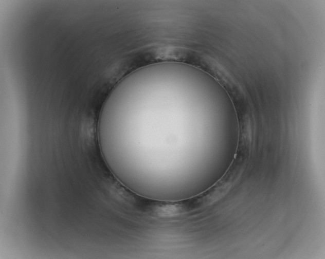 X0000111520513200907211227