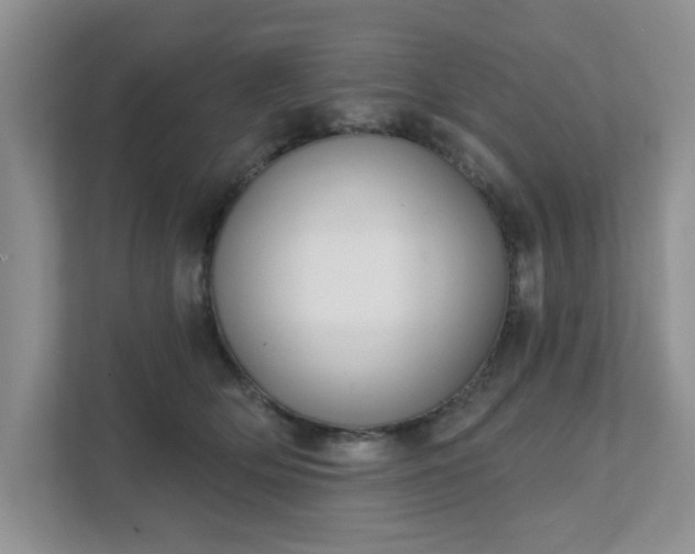 X0000111520514200907211227