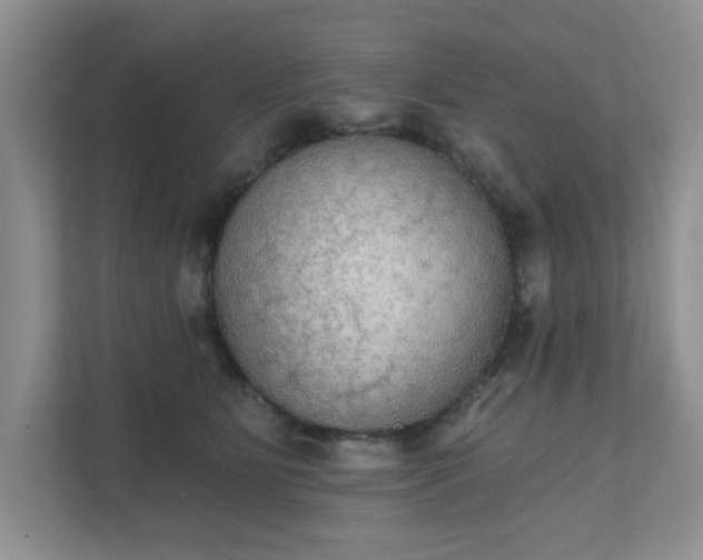X0000111520515200907211227
