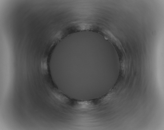 X0000111520516200907211227