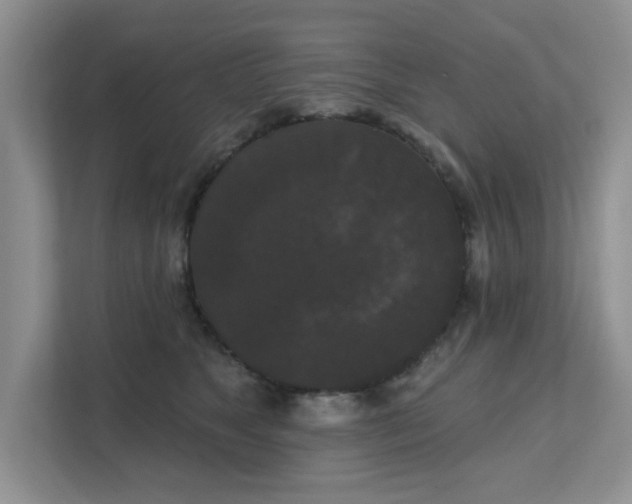 X0000111520517200907211227