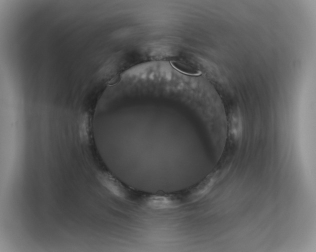 X0000111520519200907211227