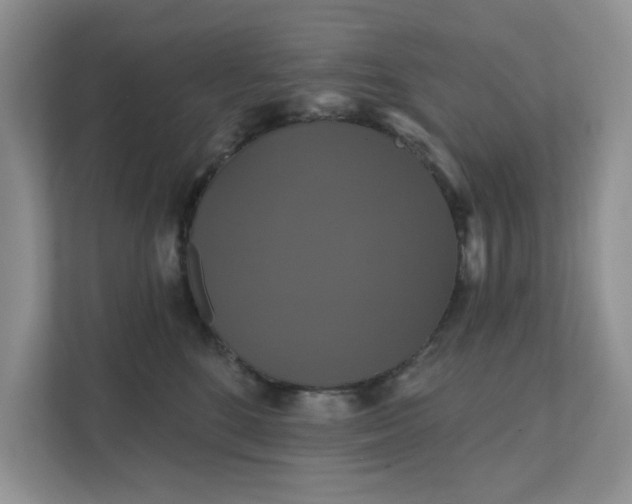 X0000111520520200907211227