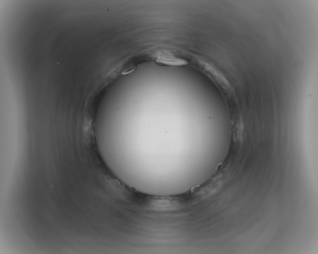 X0000111520521200907211227