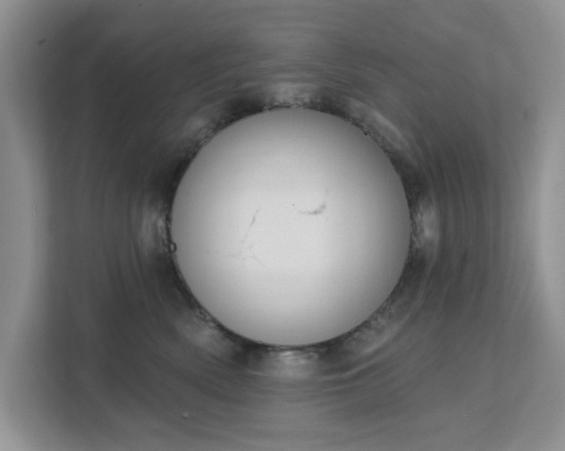 X0000111520522200907211227