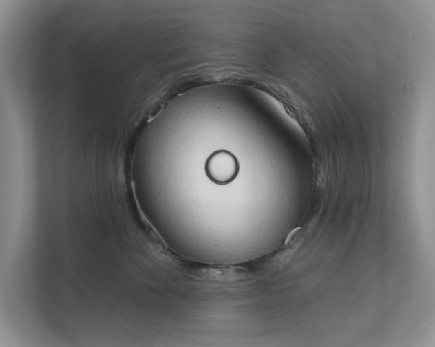 X0000111520524200907211227