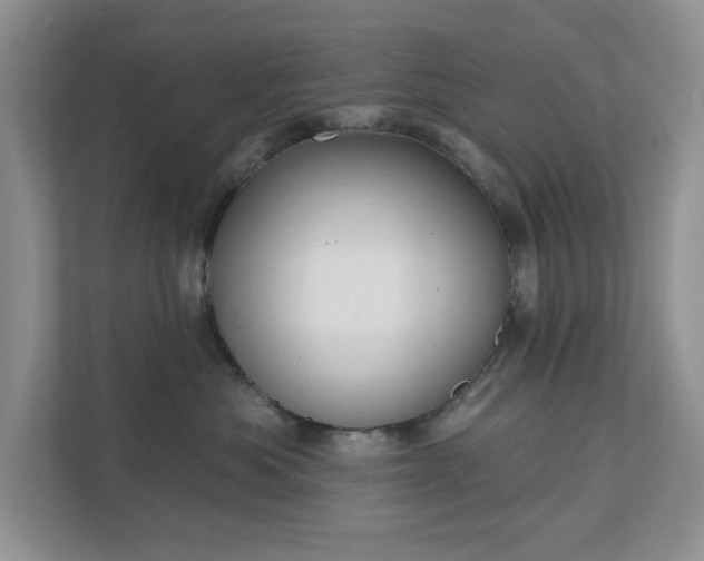 X0000111520525200907211227