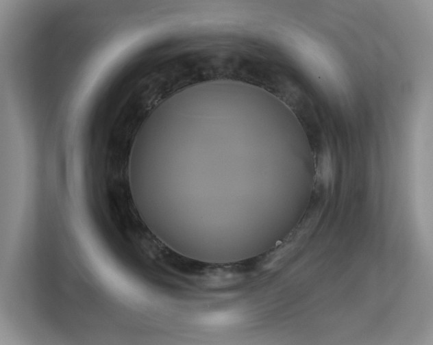 X0000111520526200907211226