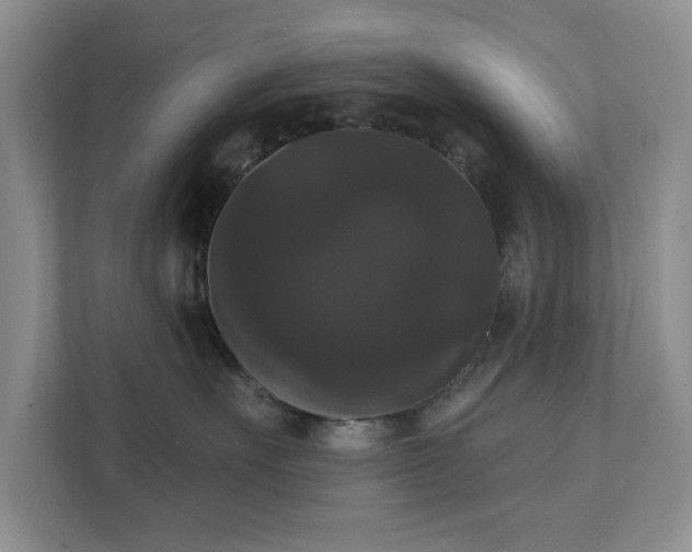X0000111520527200907211226