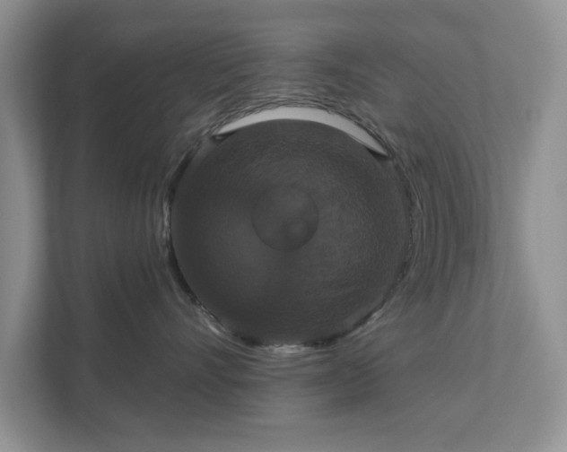 X0000111520528200907211226