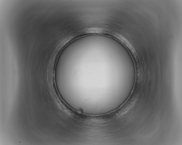 X0000111520529200907211226