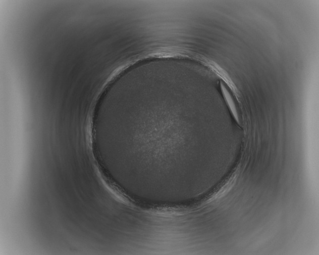 X0000111520530200907211226