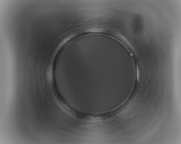 X0000111520531200907211226