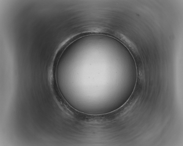 X0000111520532200907211226