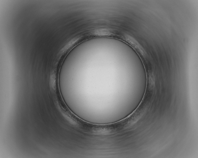 X0000111520533200907211226