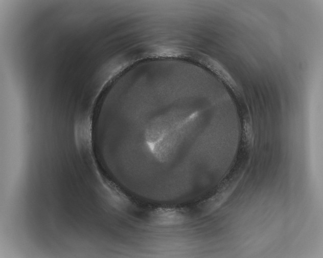 X0000111520534200907211226