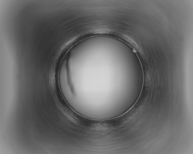 X0000111520535200907211226