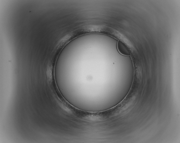 X0000111520537200907211226