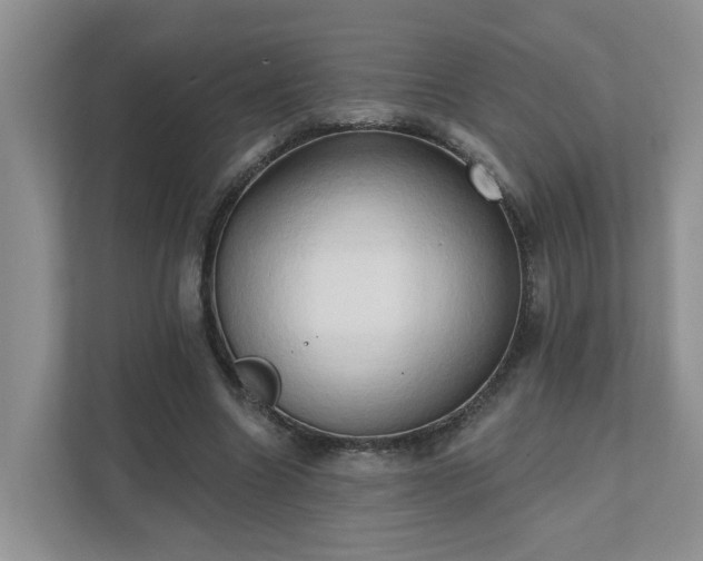 X0000111520538200907211226