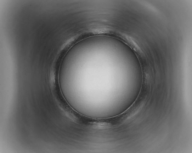 X0000111520539200907211226