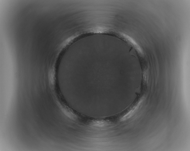 X0000111520540200907211226