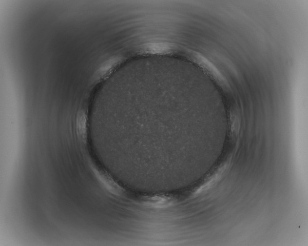 X0000111520542200907211226