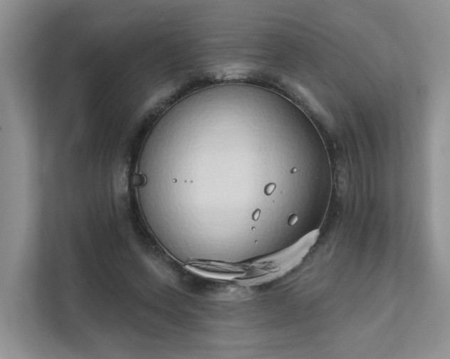 X0000111520543200907211226