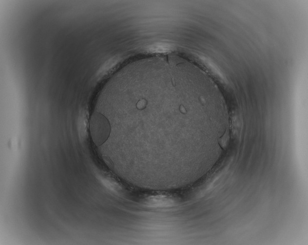 X0000111520544200907211226
