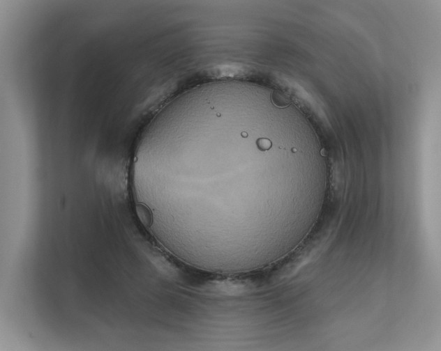 X0000111520545200907211226