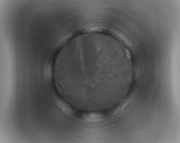 X0000111520546200907211226