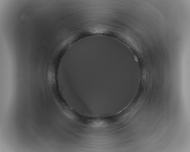 X0000111520547200907211226