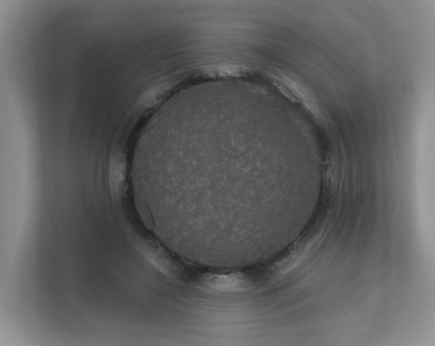 X0000111520548200907211226