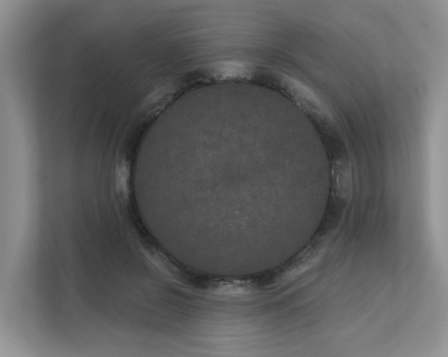 X0000111520550200907211226