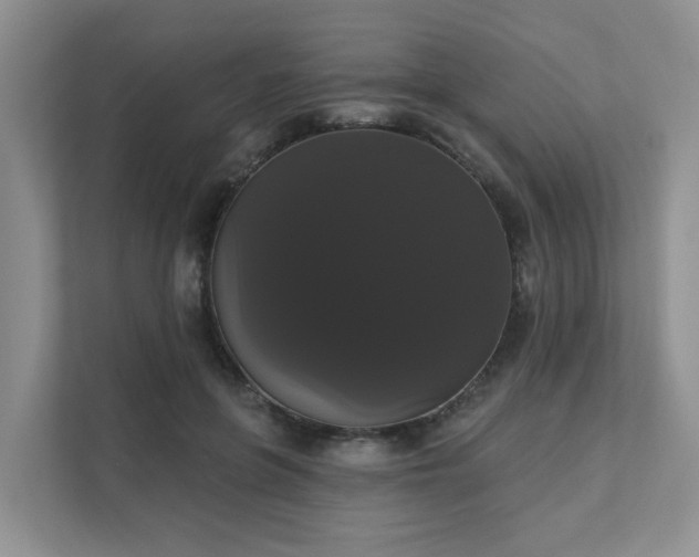 X0000111520551200907211226