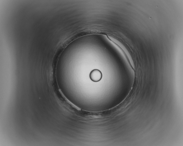 X0000111520552200907211226