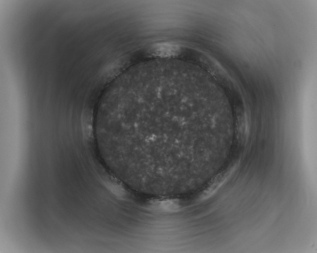 X0000111520553200907211226