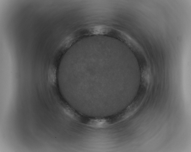 X0000111520554200907211226