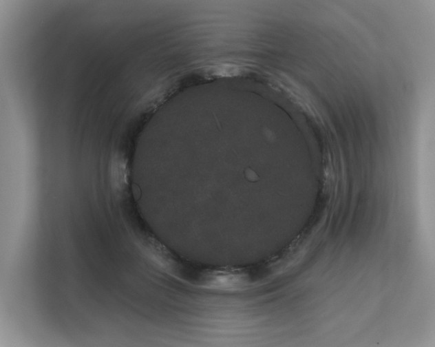 X0000111520555200907211226
