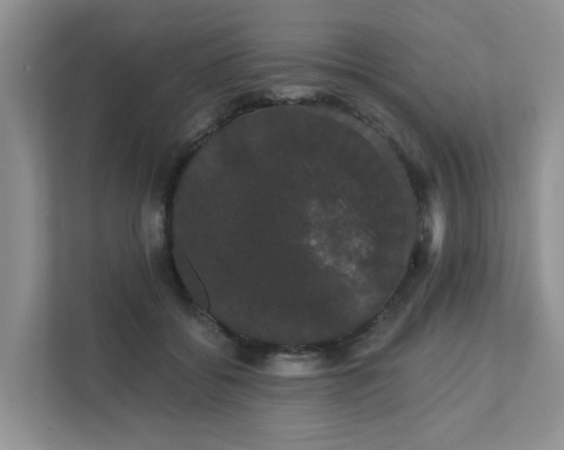 X0000111520556200907211226