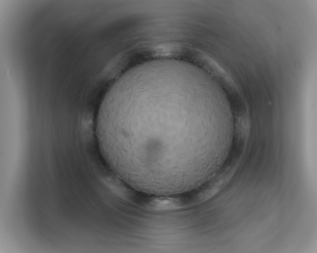 X0000111520557200907211226