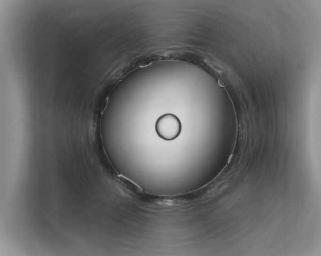 X0000111520558200907211226