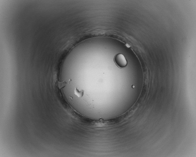 X0000111520560200907211226