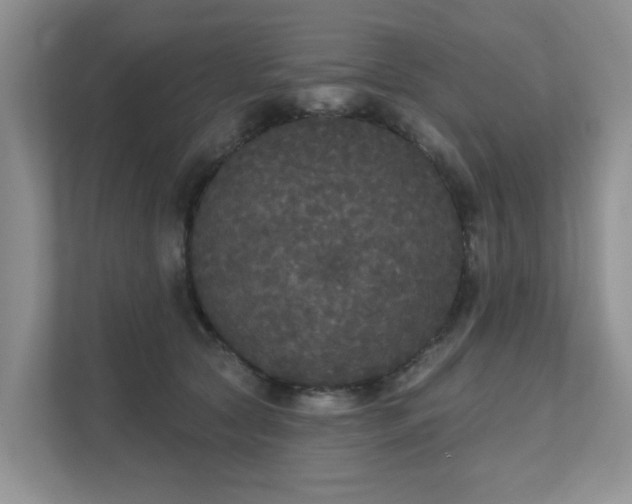 X0000111520561200907211226