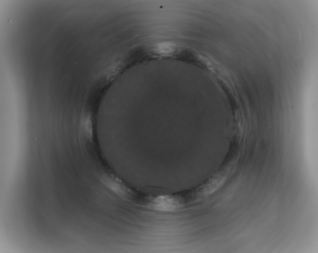 X0000111520562200907211226