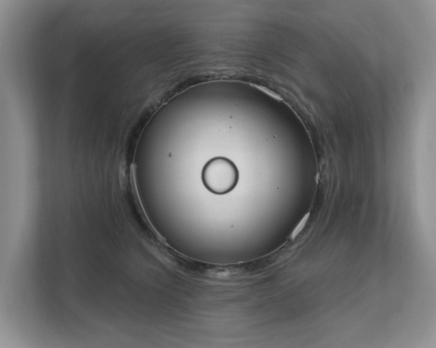 X0000111520564200907211226