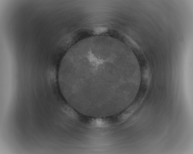 X0000111520565200907211226