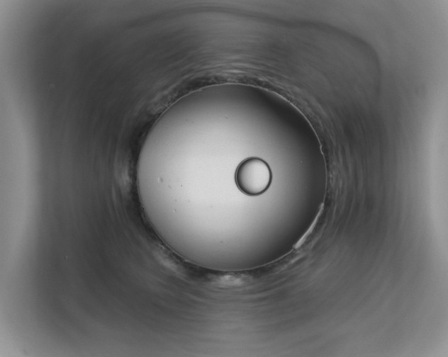 X0000111520566200907211226