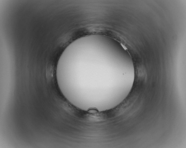 X0000111520567200907211226