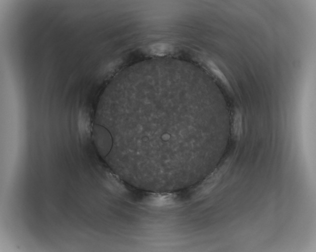 X0000111520569200907211226