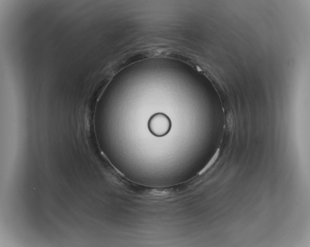 X0000111520570200907211226